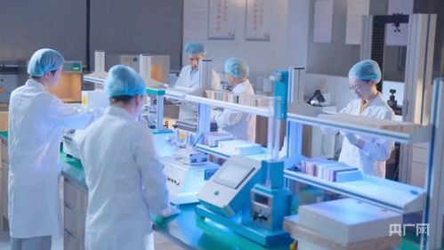 廬陽網科起宏圖 一企開疆歐洲，點亮數字化絲綢之路